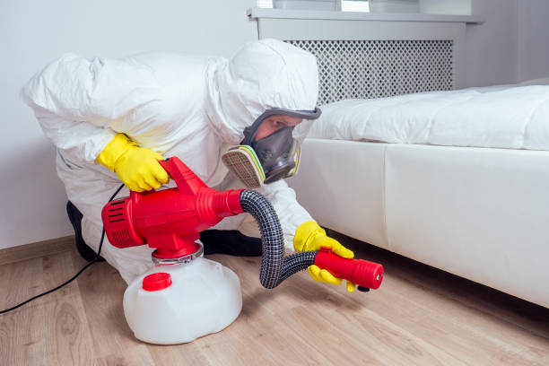 Best Termite Control Services  in El Sobrante, CA